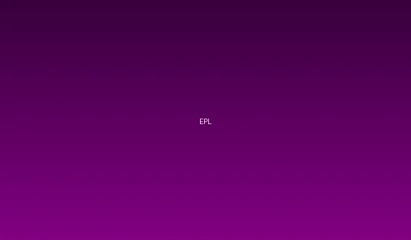 江南体育网站与英超联赛官方合作